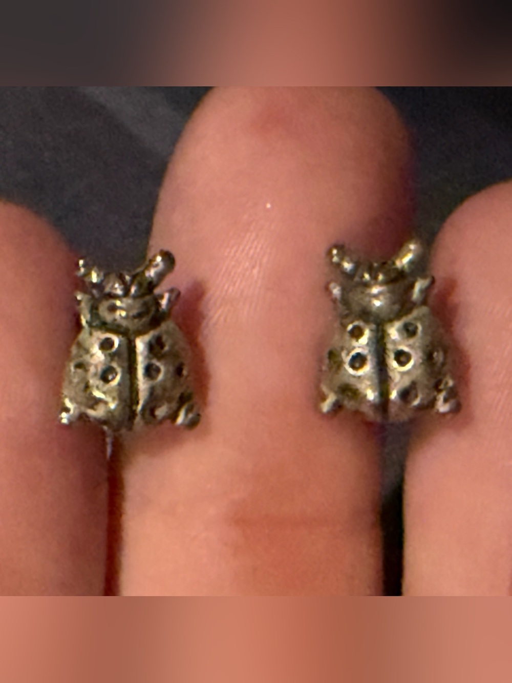 Vintage Silver Ladybug Stud Earrings - Cute Insect Design